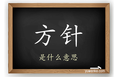 方针