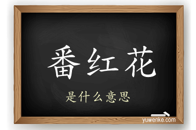 番红花