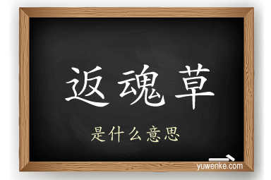 返魂草