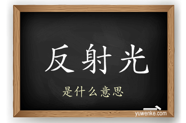 反射光