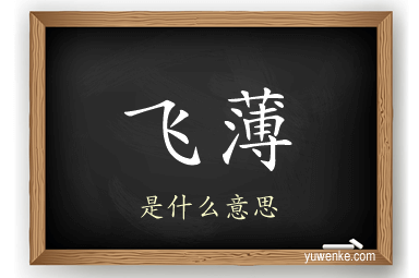 飞薄