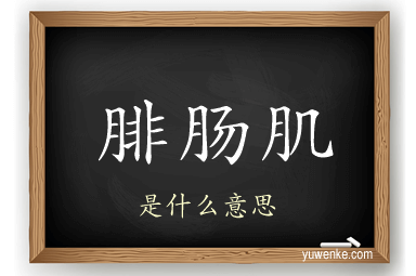 腓肠肌