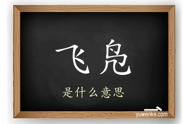 飞凫
