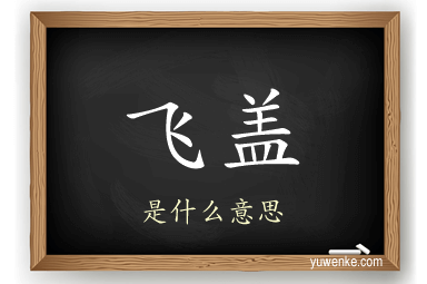 飞盖