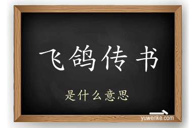 飞鸽传书