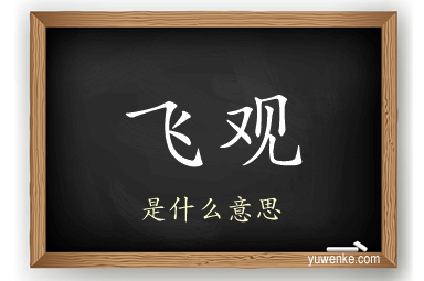 飞观