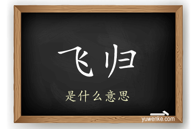 飞归