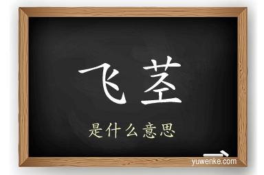 飞茎