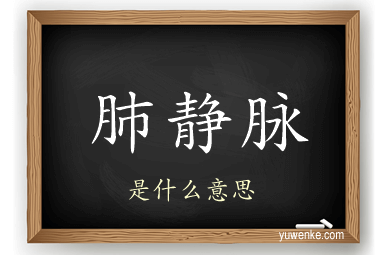 肺静脉