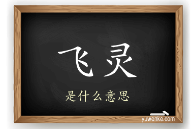 飞灵