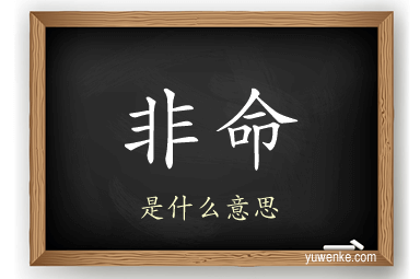 非命