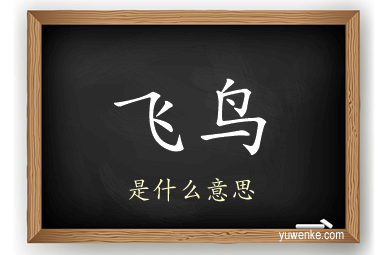 飞鸟