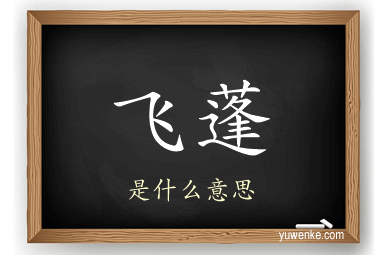 飞蓬