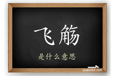 飞觞