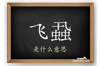 飞蝨