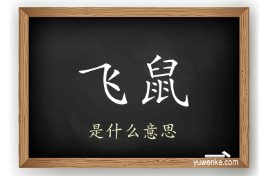 飞鼠