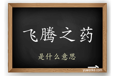 飞腾之药
