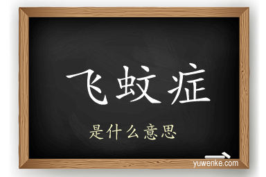 飞蚊症