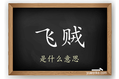 飞贼