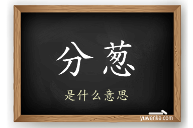 分葱