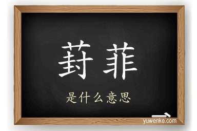 葑菲
