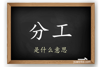 分工