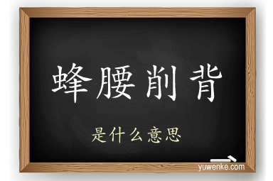蜂腰削背