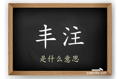 丰注
