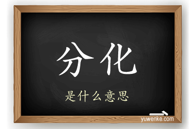 分化