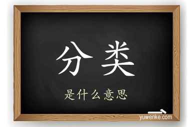 分类