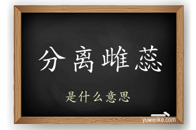 分离雌蕊