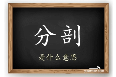 分剖