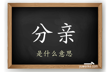 分亲