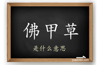 佛甲草