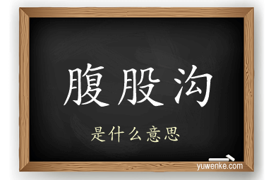 腹股沟