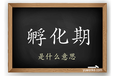 孵化期