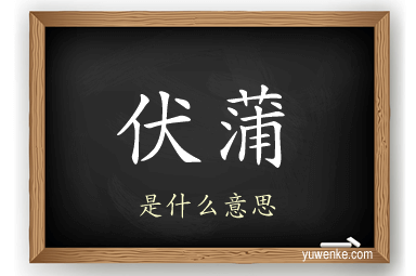 伏蒲