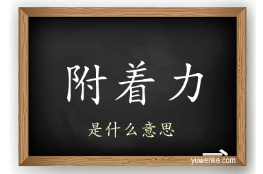 附着力