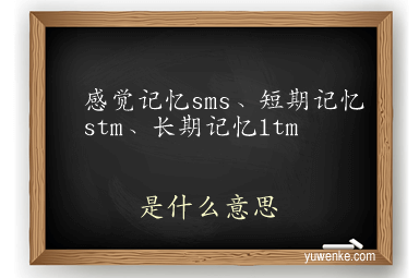 感觉记忆sms、短期记忆stm、长期记忆ltm