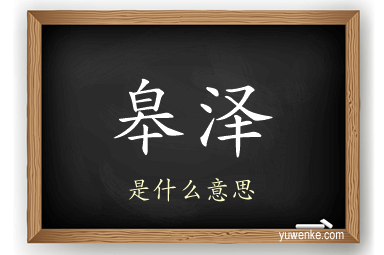 皋泽