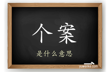 个案