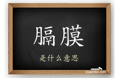 膈膜