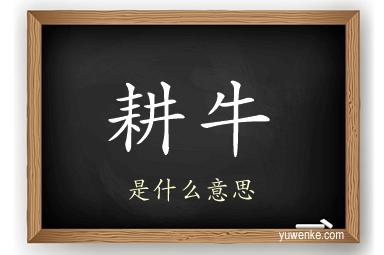 耕牛