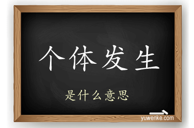 个体发生