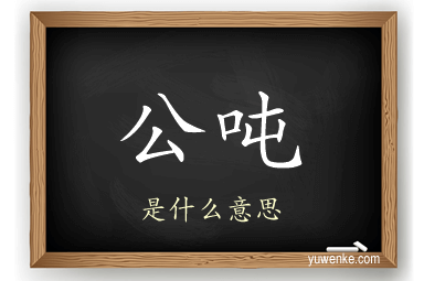 公吨