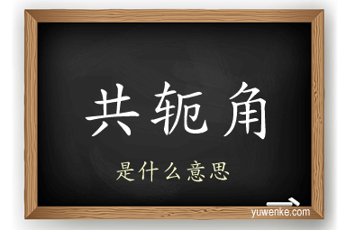 共轭角