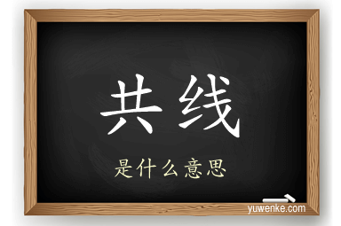 共线