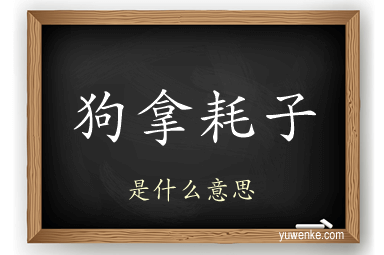 狗拿耗子