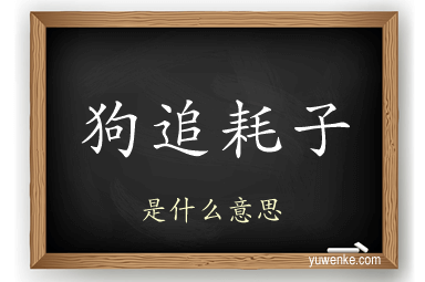 狗追耗子