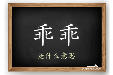 乖乖